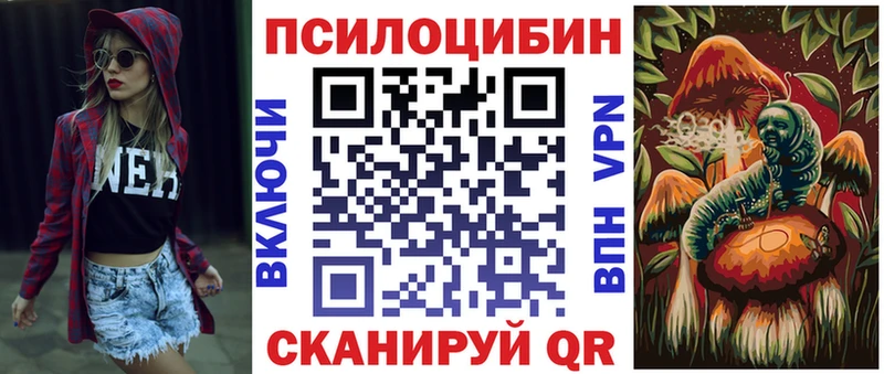 где купить наркоту  Адыгейск  Псилоцибиновые грибы Cubensis 